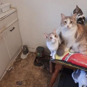 Meet your Posher, Dave